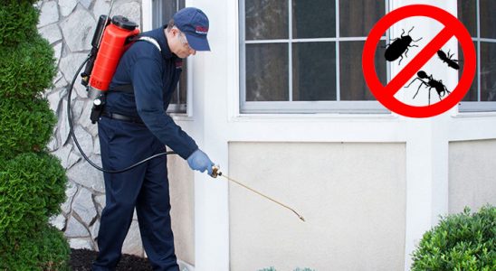 Alaçam Karınca İlaçlama böcek ilaçlama ve haşere kontrolü — ilaclama-tr.com